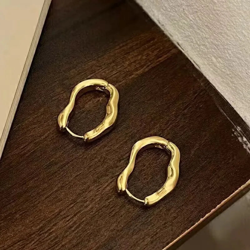 Irregular Geometric Earrings Women New Trendy Personalized Simple Temperament Fall Jewelry Gift