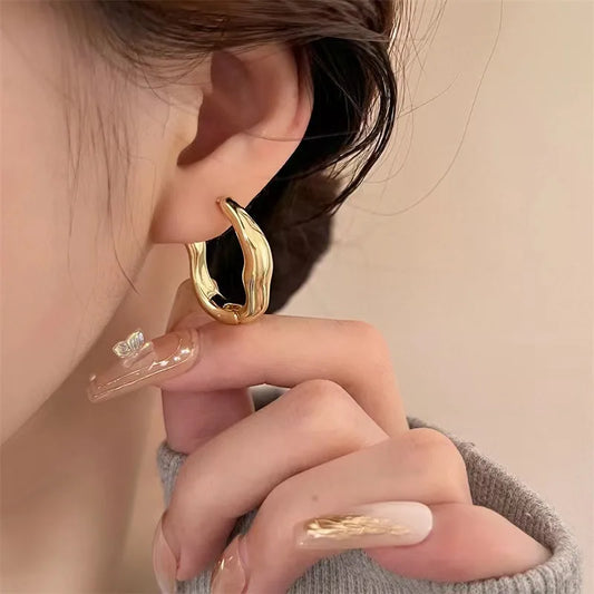 Irregular Geometric Earrings Women New Trendy Personalized Simple Temperament Fall Jewelry Gift